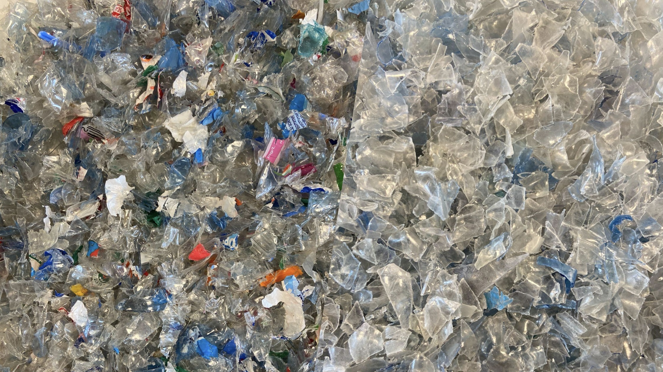 Colour-sorted PET flakes